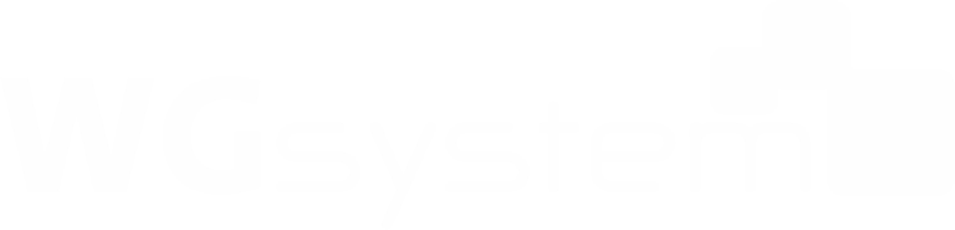 WGsystem